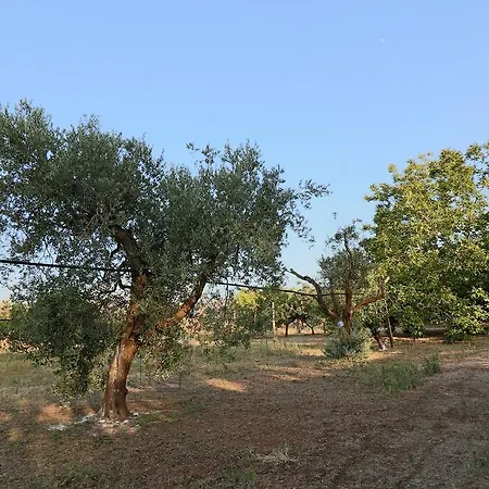 Casa Vacanza In Campagna A Matino