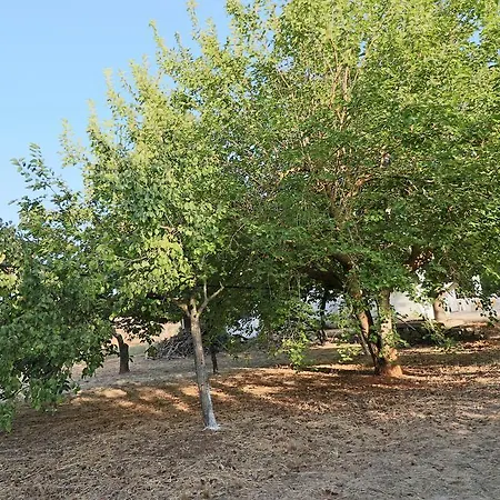 Dom wakacyjny Casa Vacanza In Campagna A Matino